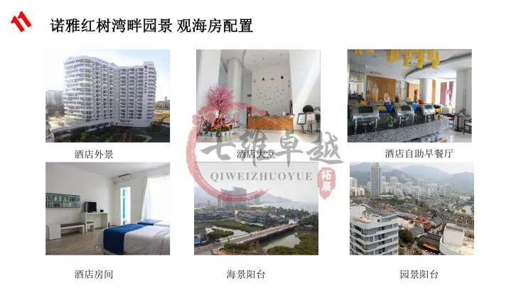 哪里能找到专业的篮球训练与发展计划_2